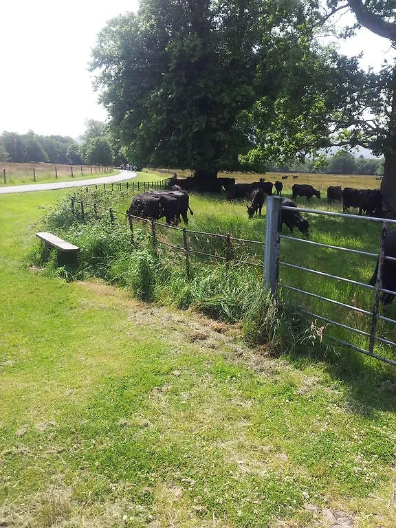 *** Bed & Breakfast Acara B&B Cill Airne Irlanda